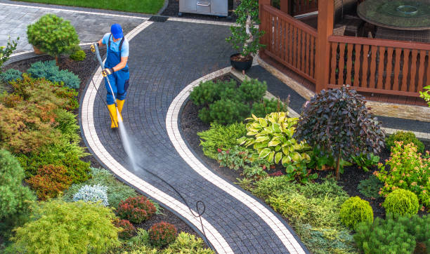 Best Pressure Washing Company Near Me  in West Canton, NC